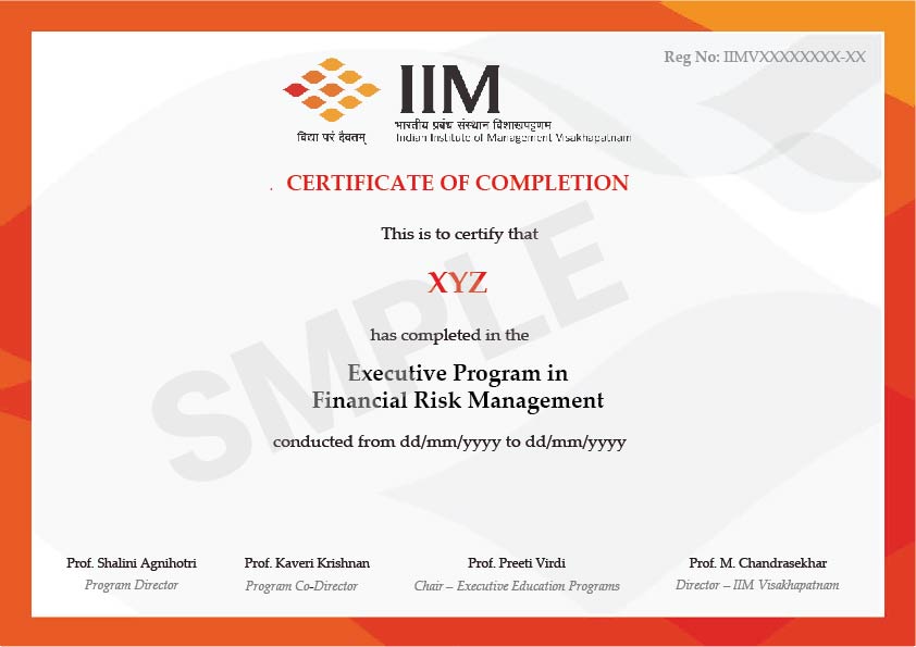 Financial Risk Management Course