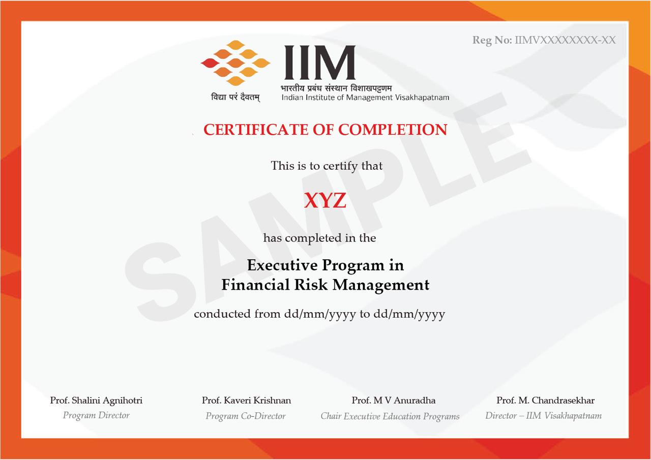 Financial Risk Management Course